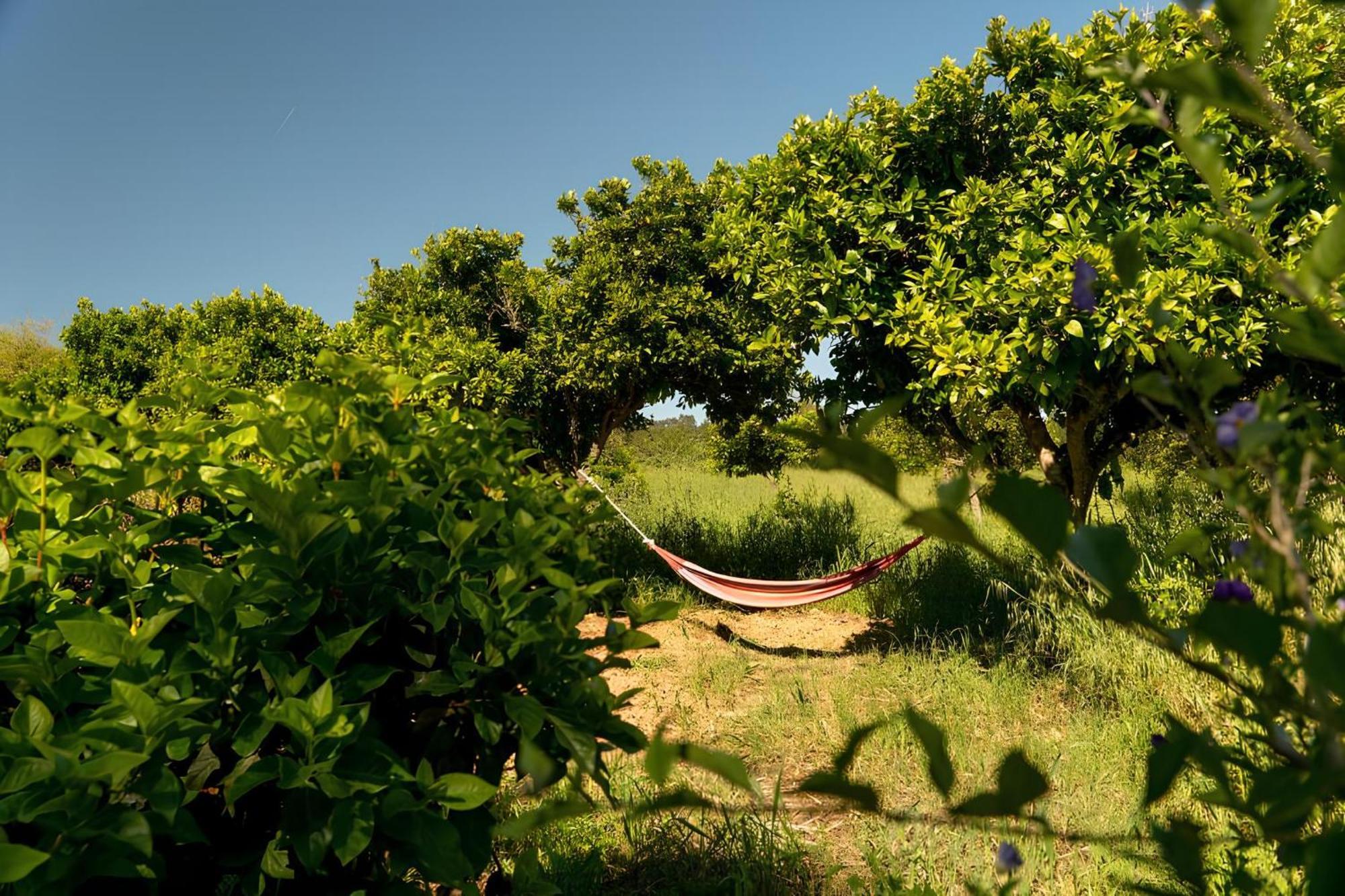 Naturarte Campo - Duna Parque Resorts & Hotels São Luis Exterior photo